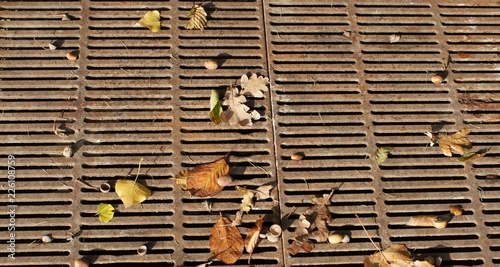 Sieb,holz, beschaffenheit, bambus, hölzern, wand, braun, fenster, dekor, architektur, abstrakt, bauwerk, alt, material, anlagen, bauholz, haus, auflösungszeichen, design photo