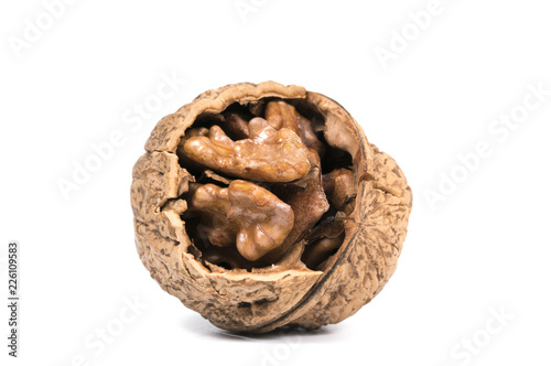 broken walnut on white background