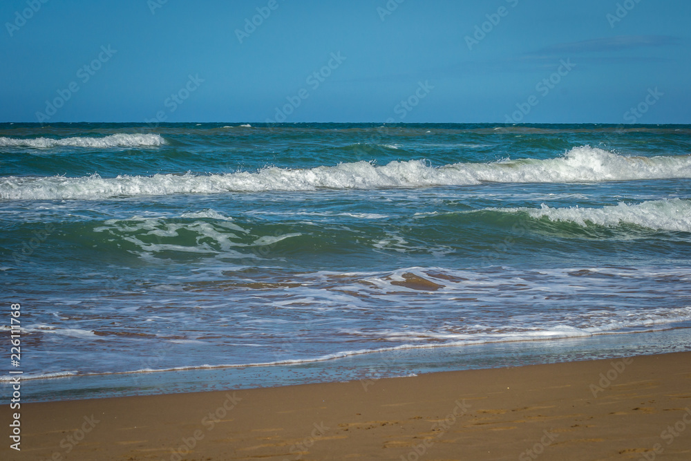 Saaidia island and waves