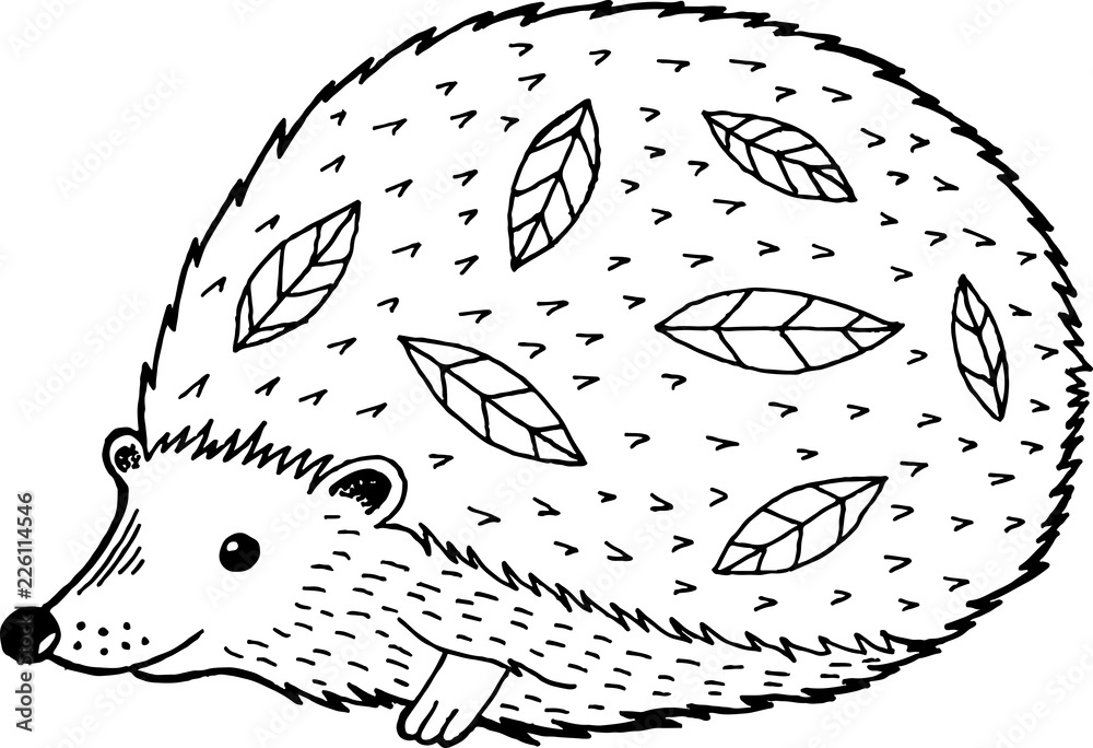 Cartoon hedgehog - coloring page for adults and kids. Vector