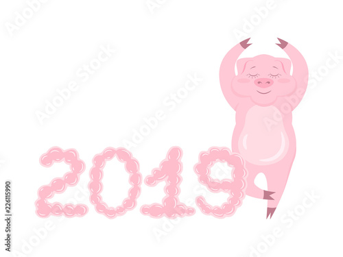 Relax pig with bubbly 2019