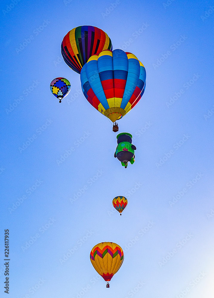 Fototapeta premium Hot Air Balloon in Flight