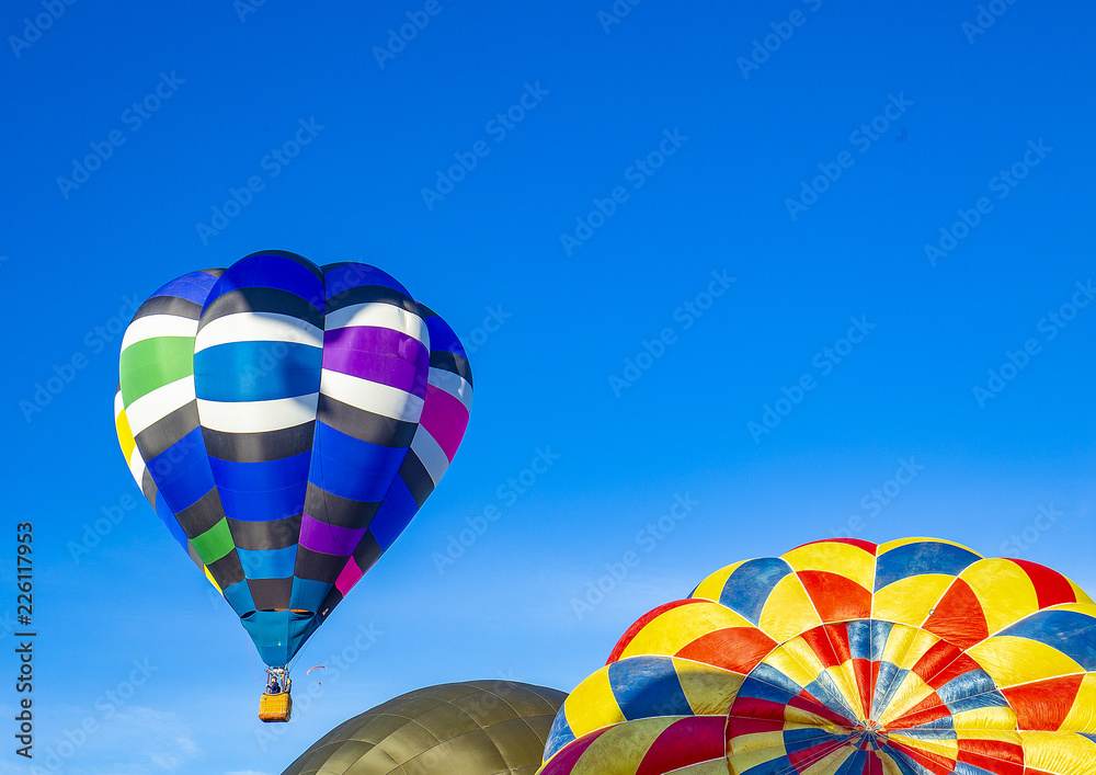 Fototapeta premium Hot Air Balloon in Flight