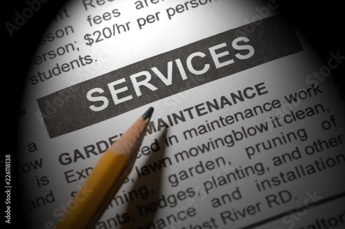 newspaper ad services