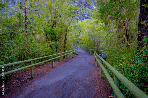 Beautiful path inside the forest with metallic fences at each side  for protecting the tourists from any danger in Saltos de Petrohue  Chile