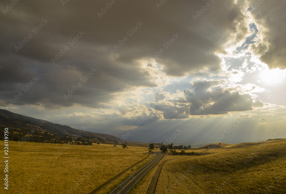 Fototapeta premium road in the field