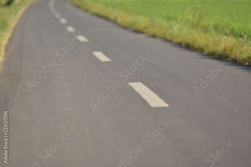 Asphalt road in Indonesian rural region with grasses border beside rice field