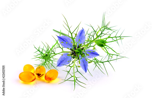 Isolated Nigella Sativa Oil
