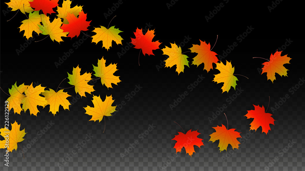 September Vector Background with Golden Falling Leaves. Autumn Illustration with Maple Red, Orange, Yellow Foliage. Isolated Leaf on Transparent Background. Bright Swirl. Suitable for Posters. September Vector Background with Golden Falling Leaves. Autumn Illustration with Maple Red, Orange, Yellow Foliage. Isolated Leaf on Transparent Background. Bright Swirl. Suitable for Posters.