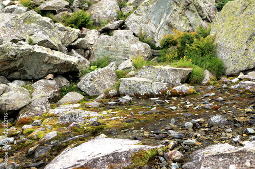 Small quantity of water in mountain river, close to the spring, flowing between big white gray rocks, ferns, stones