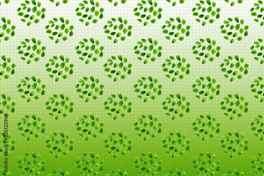 leaf or leaves texture background for nature or religious concept background
