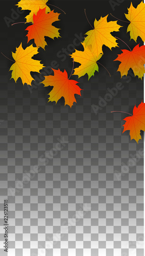 September Vector Background with Golden Falling Leaves. Autumn Illustration with Maple Red, Orange, Yellow Foliage. Isolated Leaf on Transparent Background. Bright Swirl. Suitable for Posters.