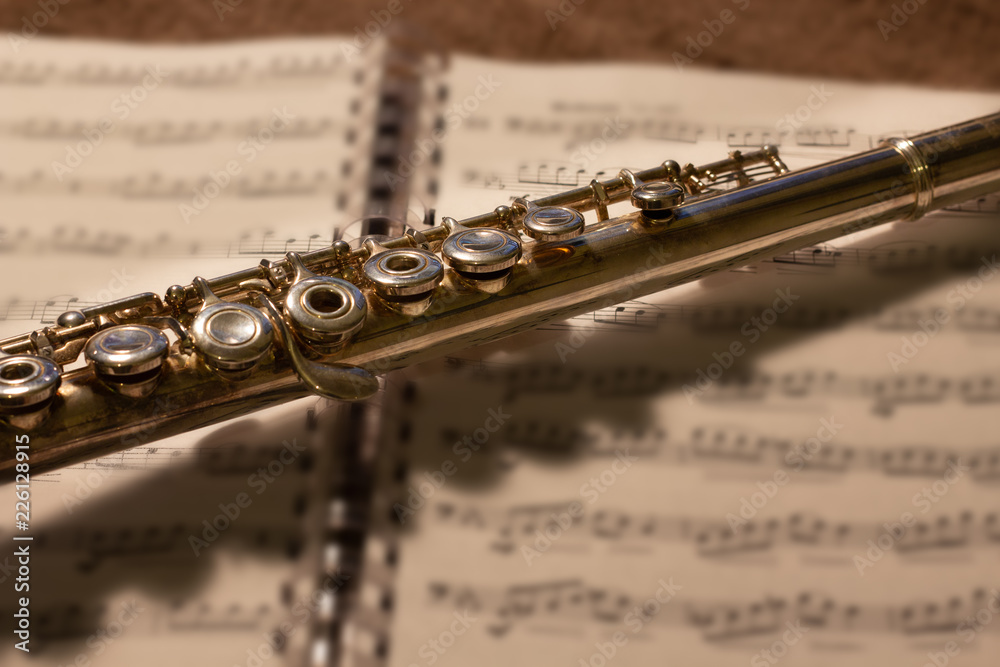 Obraz premium Flute