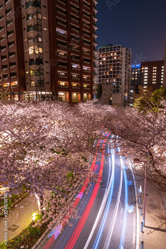 Roppongi Sakurazaka, Tokyo, Japan - March 26, 2018: Cherry blossoming at Roppongi Sakurazaka, Tokyo, Japan. photo