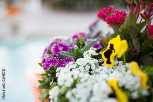 Flower bunch abstract