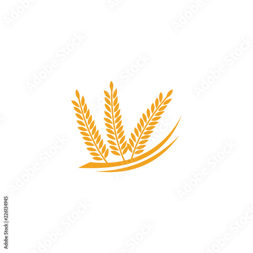 wheat logo template