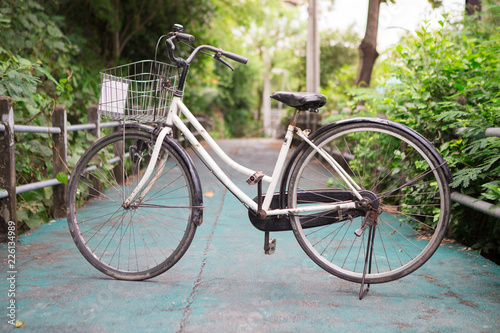 Old bike on the bike lane