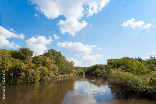 Willow thickets on the banks of the river Zyuzelga