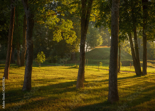 Fototapeta Naklejka Na Ścianę i Meble -  autumn in the park