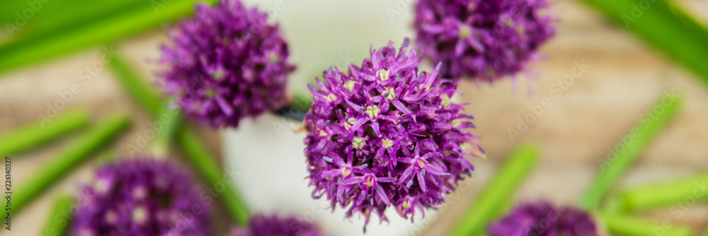 Closeup of flowering chives with shallow depth of field and focus concentrated on flower in the foreground Closeup of flowering chives with shallow depth of field and focus concentrated on flower in the foreground