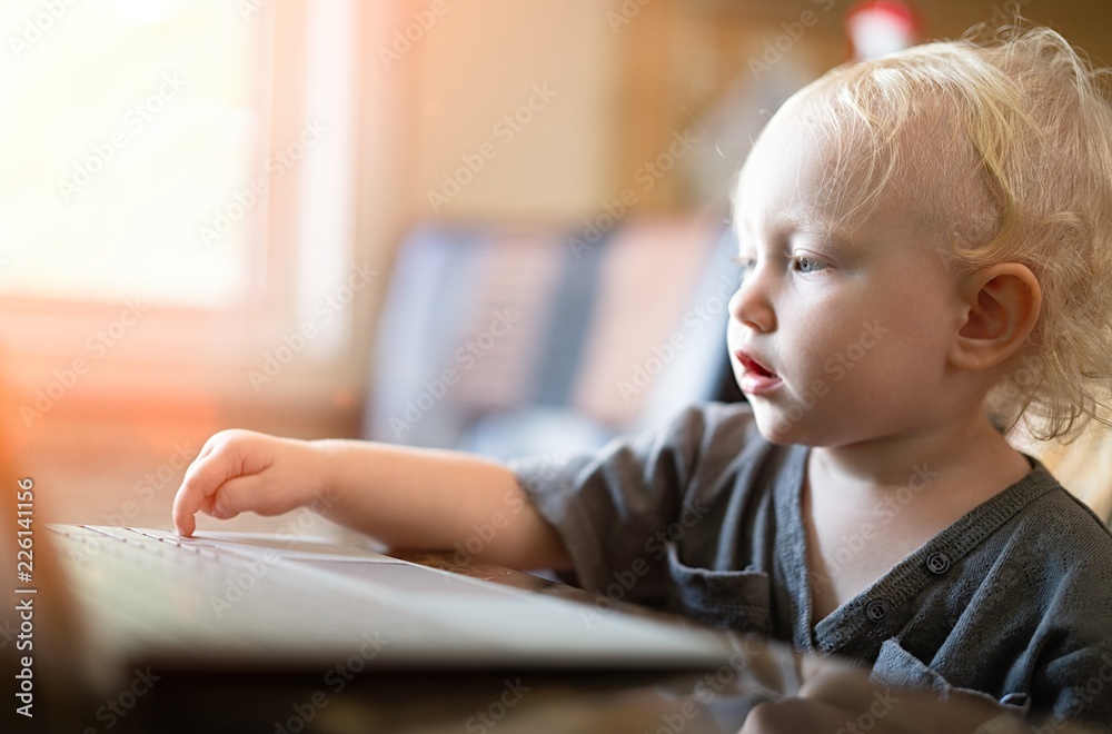 Baby playing with laptop computer Baby playing with laptop computer