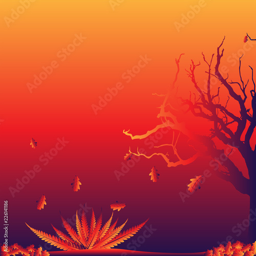 landscape oak forest