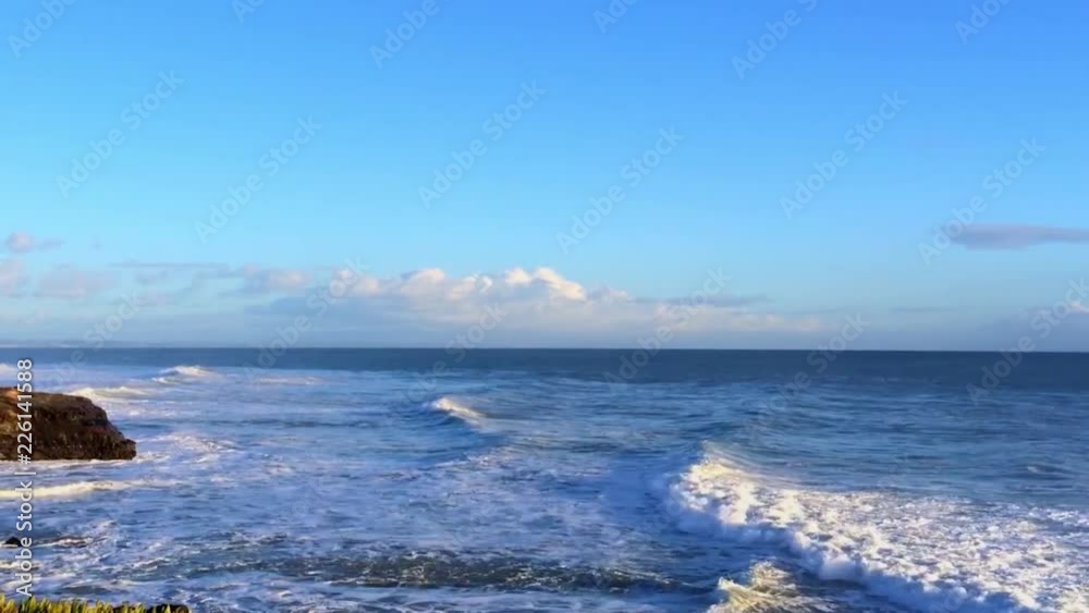 Natural Bridges State Beach, Santa Cruz California, USA Natural Bridges State Beach, Santa Cruz California, USA