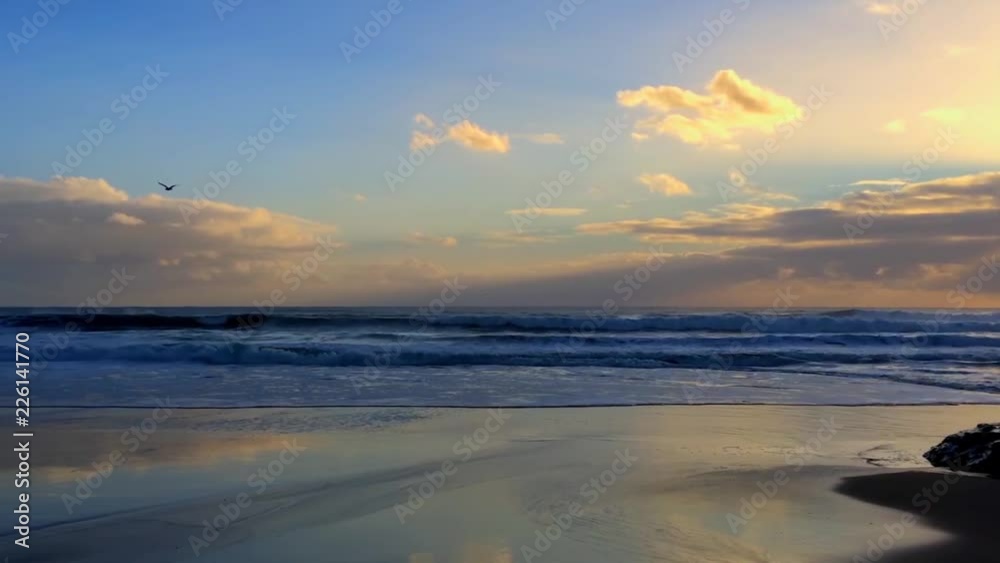 Natural Bridges State Beach, Santa Cruz California, USA Natural Bridges State Beach, Santa Cruz California, USA