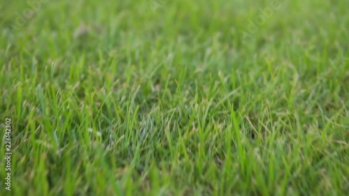 Travelling in through the grass of the pitch at the city stadium recorded in slow motion. photo