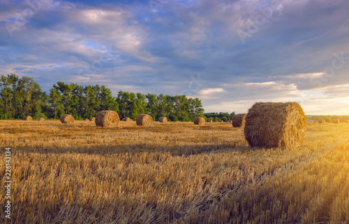 Hay bales on the field after harvesting illuminated by the warm light of setting sun.