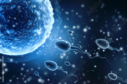 Sperm and egg cell on scientific background. Human reproduction Concept. 3d  illustration Stock Illustration | Adobe Stock