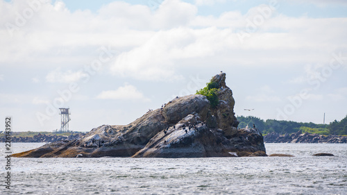 Rock formation sticking out of the water with Cormorants and Seagulls nesting on it. photo