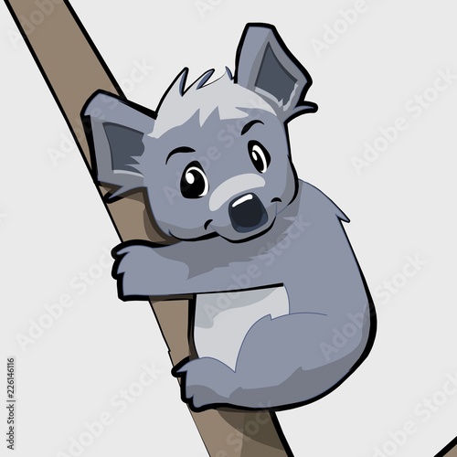 Photography cute cartoon koala character
