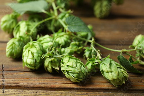 Fresh green hops on wooden table. Beer production