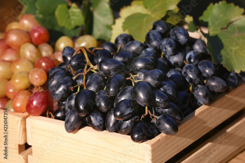 Fresh ripe juicy grapes in wooden crates, closeup