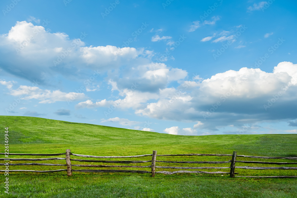 Green grass and blue sky with white clouds Green grass and blue sky with white clouds