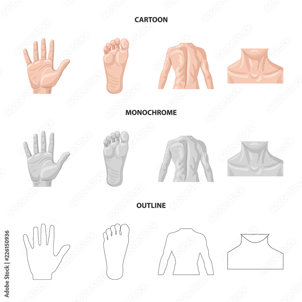 Isolated object of human and part sign. Set of human and woman vector icon for stock. Isolated object of human and part sign. Set of human and woman vector icon for stock.