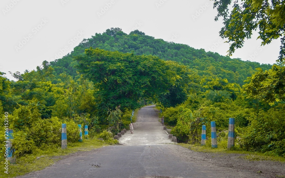 road in the forest hill