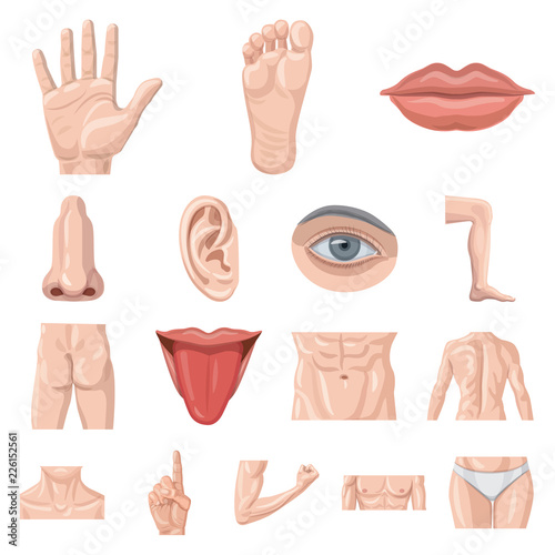Isolated object of human and part sign. Collection of human and woman stock symbol for web.