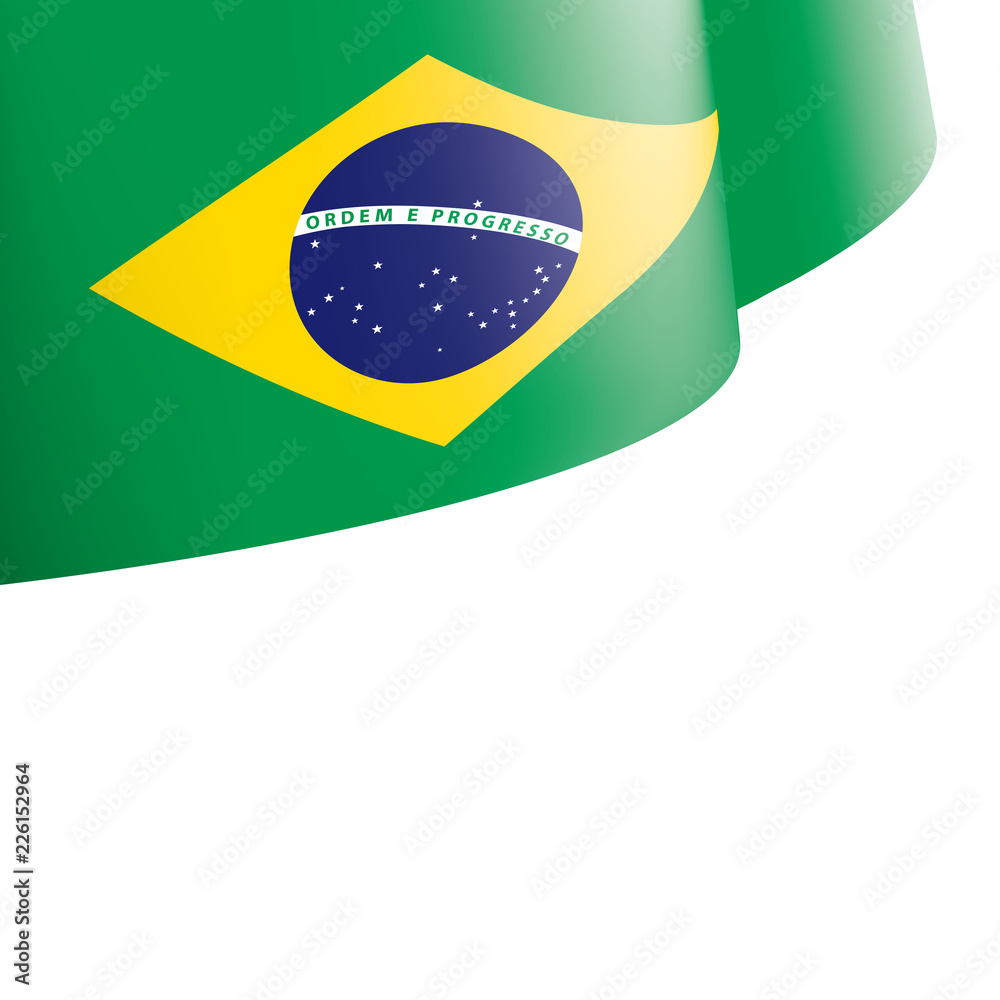 Obraz premium Brazil flag, vector illustration on a white background