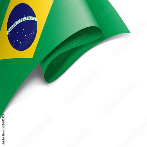 Brazil flag, vector illustration on a white background