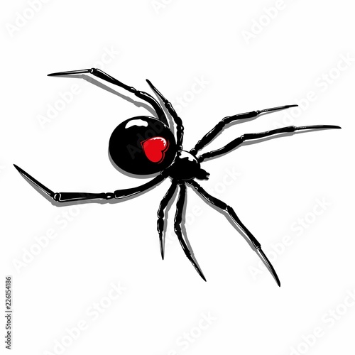 illustration of a spider with a heart on its back