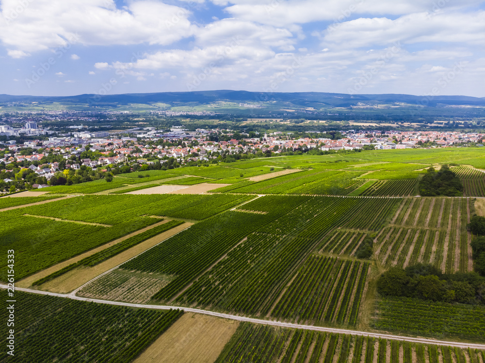 Deutschland, Rheinland-Pfalz. Ingelheim am Rhein , Blick über Weinberge auf Ingelheim am Rhein,  Luftbild