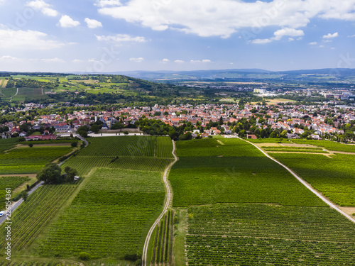 Deutschland, Rheinland-Pfalz. Ingelheim am Rhein , Blick über Weinberge auf Ingelheim am Rhein, Luftbild