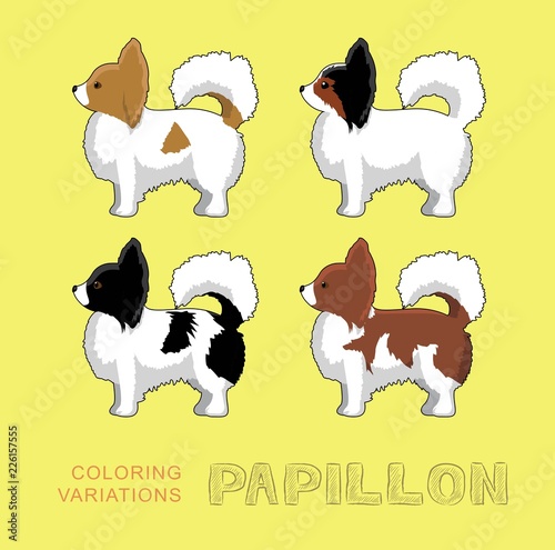 Dog Papillon Coloring Variations Vector Illustration