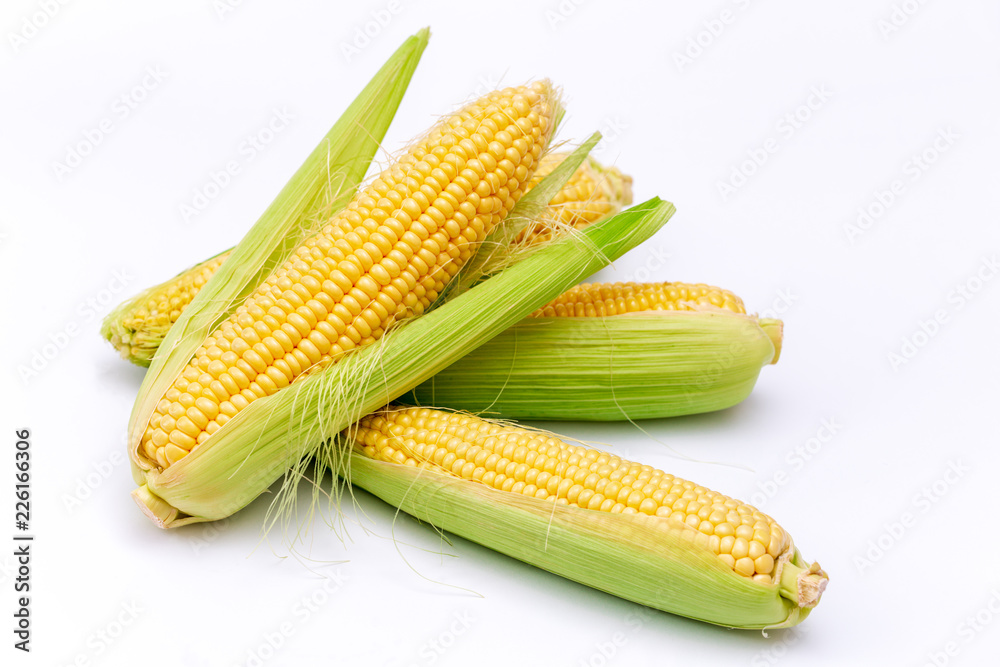 Corn cobs isolated on white background. Corn cobs isolated on white background.