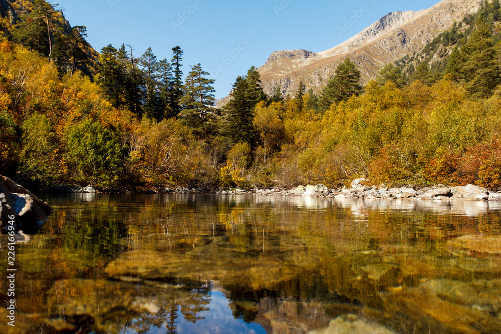 reflection autumn green forest in pure Lake reflection autumn green forest in pure Lake