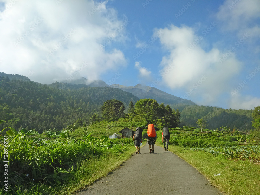Three hikers with heavy backpacks walking on road towards mountain. Wanderlust and travel concept