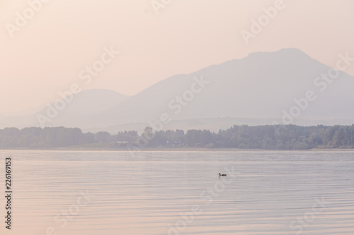 Fototapeta Naklejka Na Ścianę i Meble -  A beautiful morning landscape with ducks swimming in the mountain lake with mountains in distance. Sunset scenery in light colors. Birds in natural habitat. Tatra mountains in Slovakia, Europe.