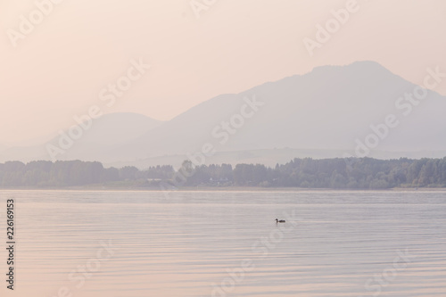 A beautiful morning landscape with ducks swimming in the mountain lake with mountains in distance. Sunset scenery in light colors. Birds in natural habitat. Tatra mountains in Slovakia, Europe.